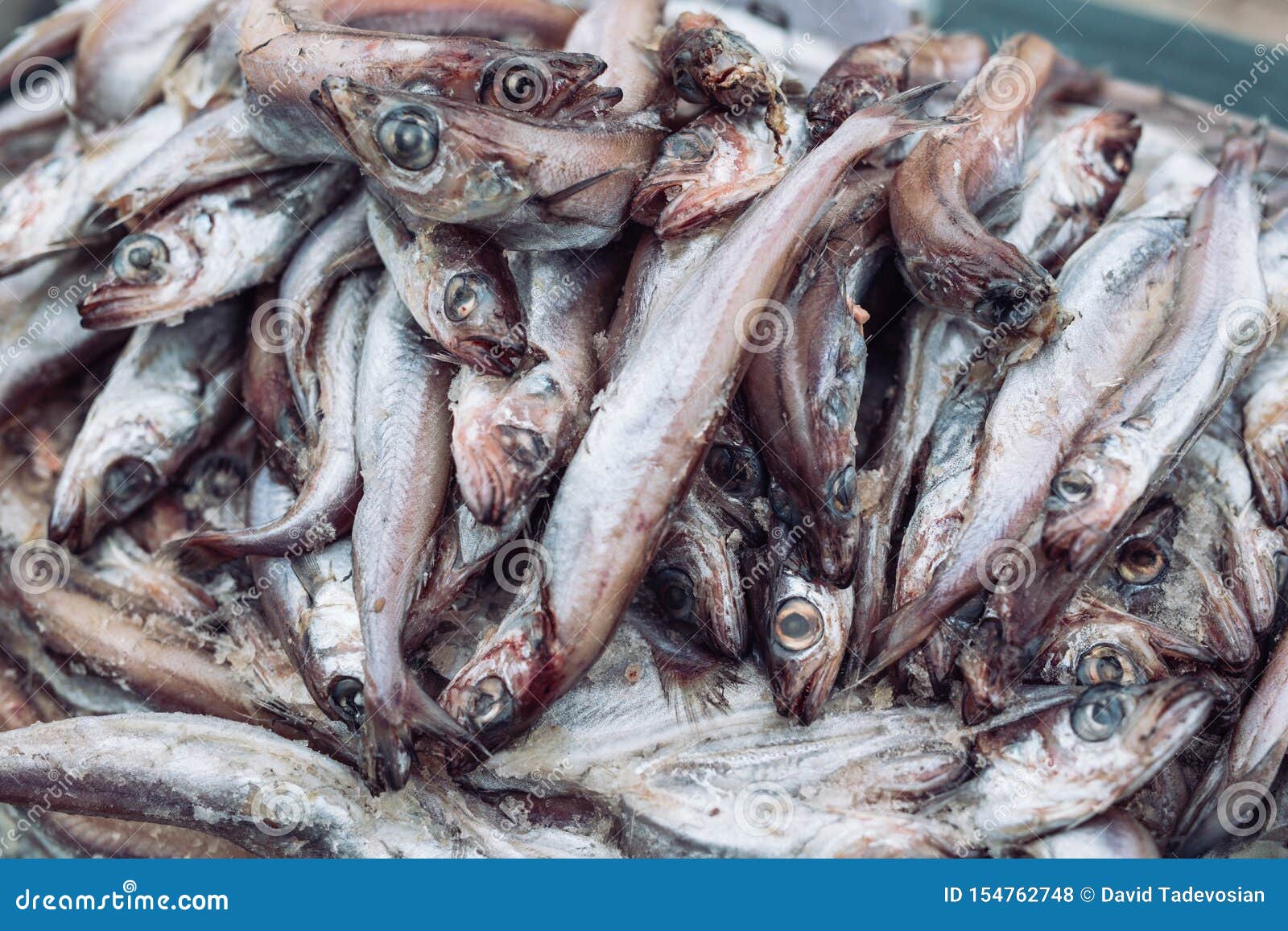 Fresh Fish in the Store on the Background. Stock Photo Image of