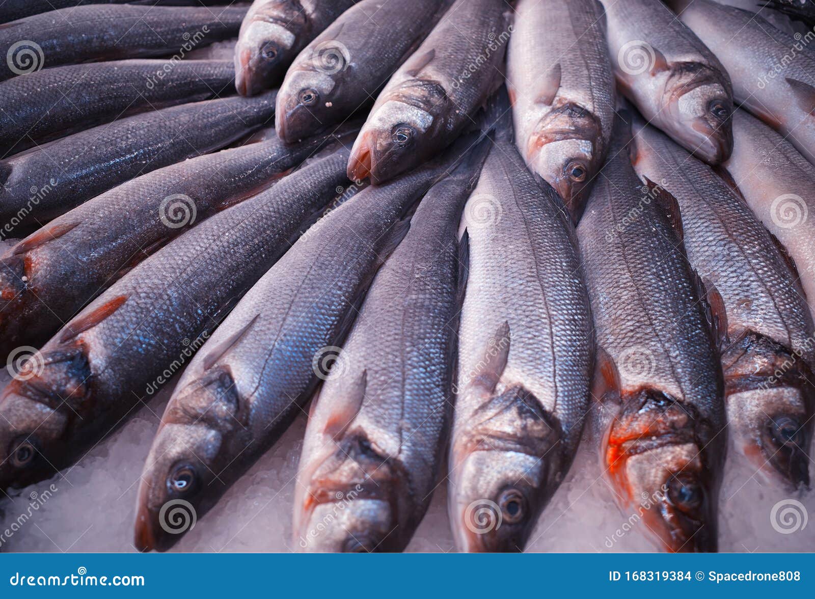 Fresh Fish at Supermarket Texture Background Stock Photo - Image of  symmetric, pattern: 168319384