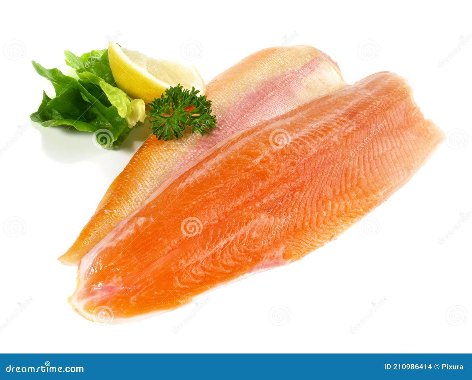 Fresh Fish Trout Fillet Isolated Stock Photo Image of saltwater