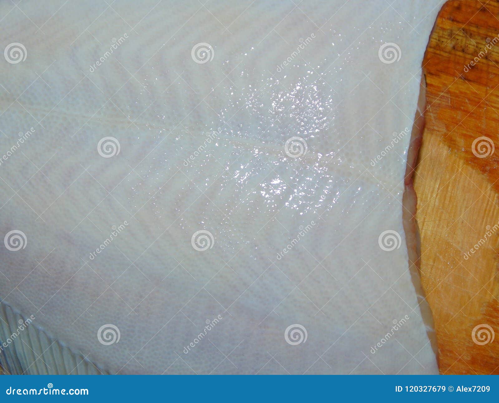 Fresh flounder texture stock image. Image of textureraw 120327679