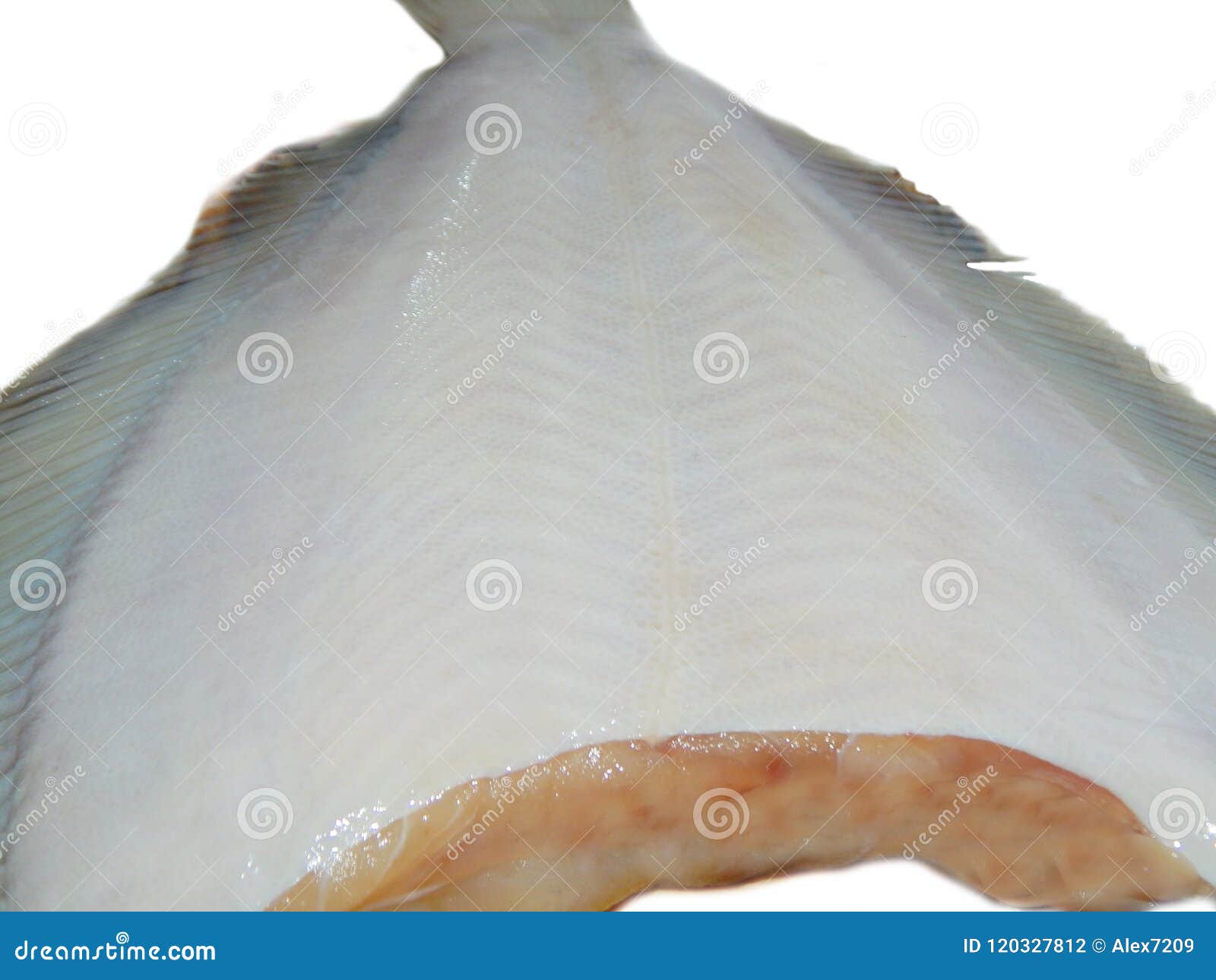 Fresh flounder texture stock photo. Image of fish, healthy 120327812
