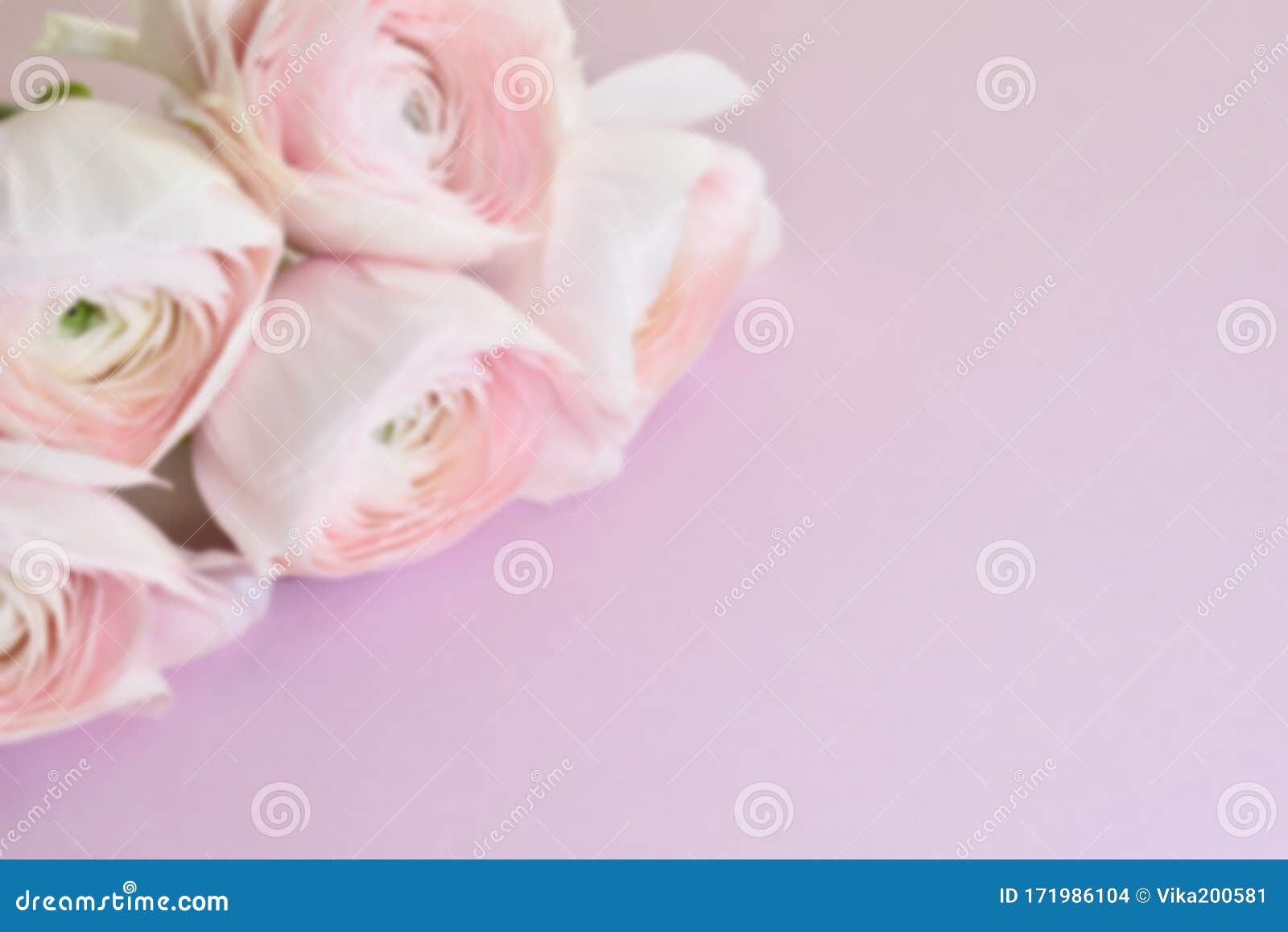 Floral Gentle Wallpaper. Floral Background with Place for Text. Romantic  Postcard. International Women`s Day. Valentine`s Day Stock Photo - Image of  floral, flora: 171986104