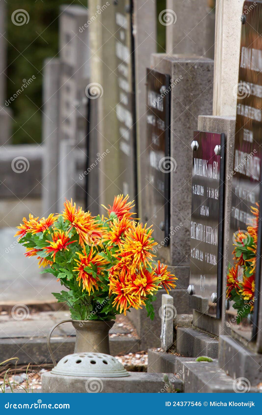 Fresh flowers on a grave stock photo. Image of fear, dead 24377546