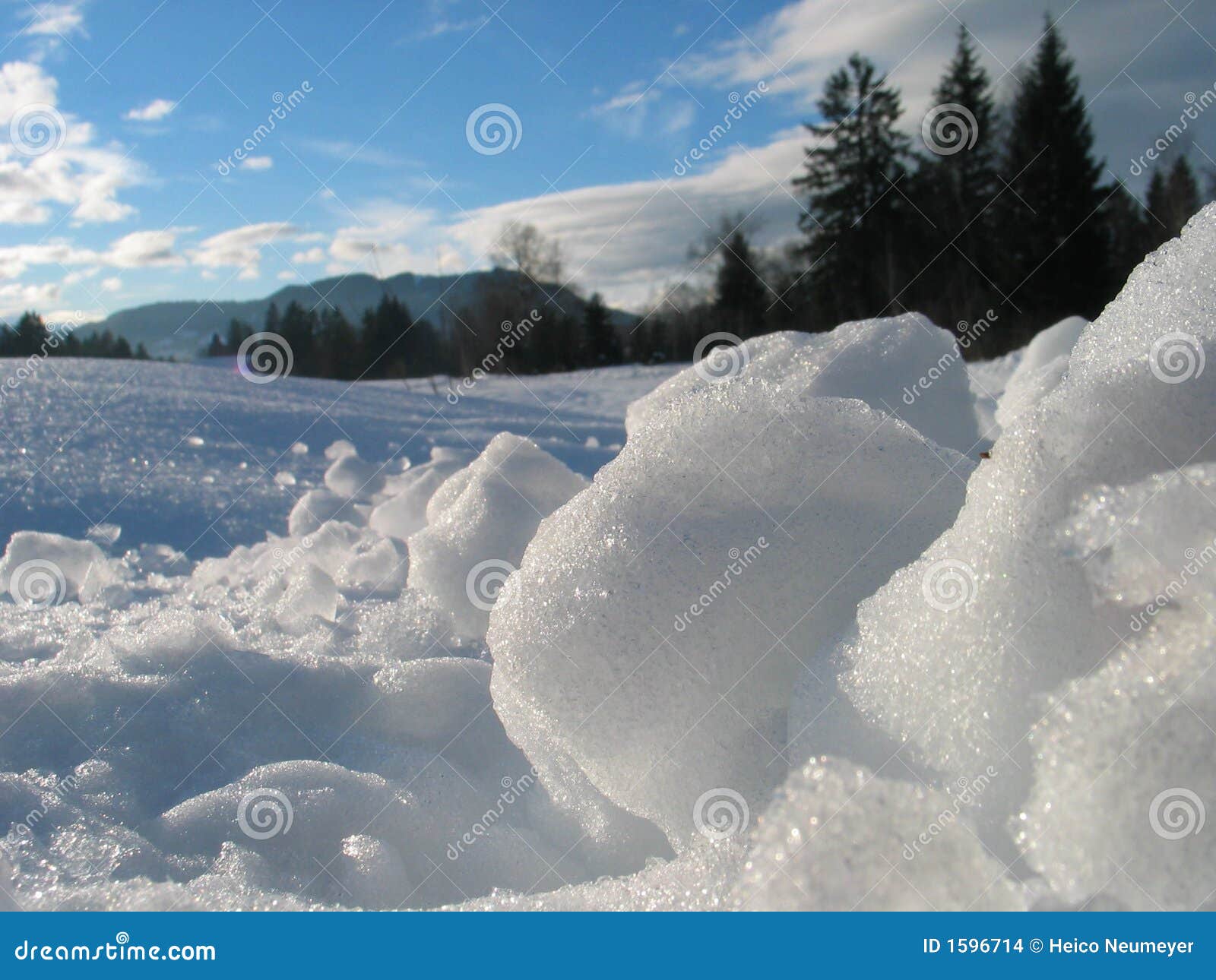 Freshfresh Winter Landscape! Stock Photo Image of bluesky