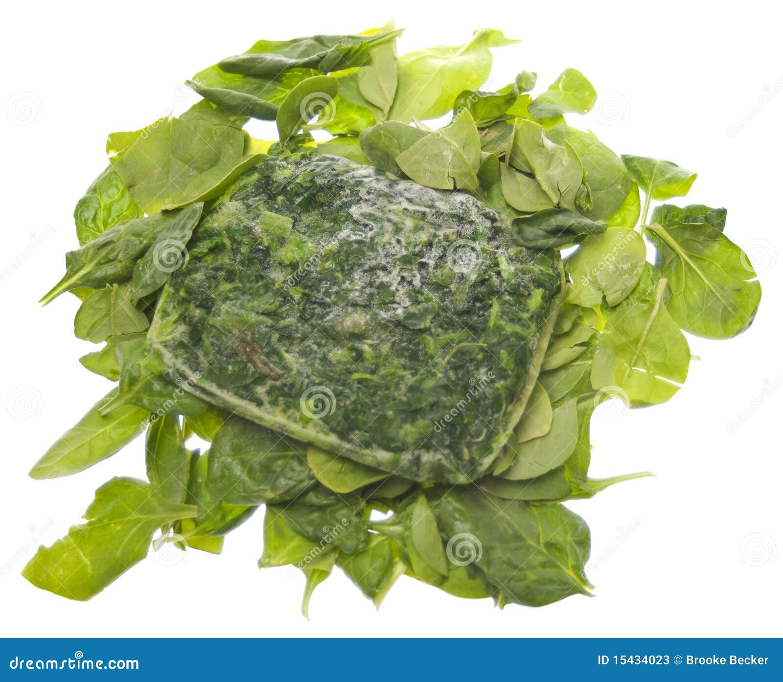 Fresh and Frozen Spinach stock image. Image of produce - 15434023