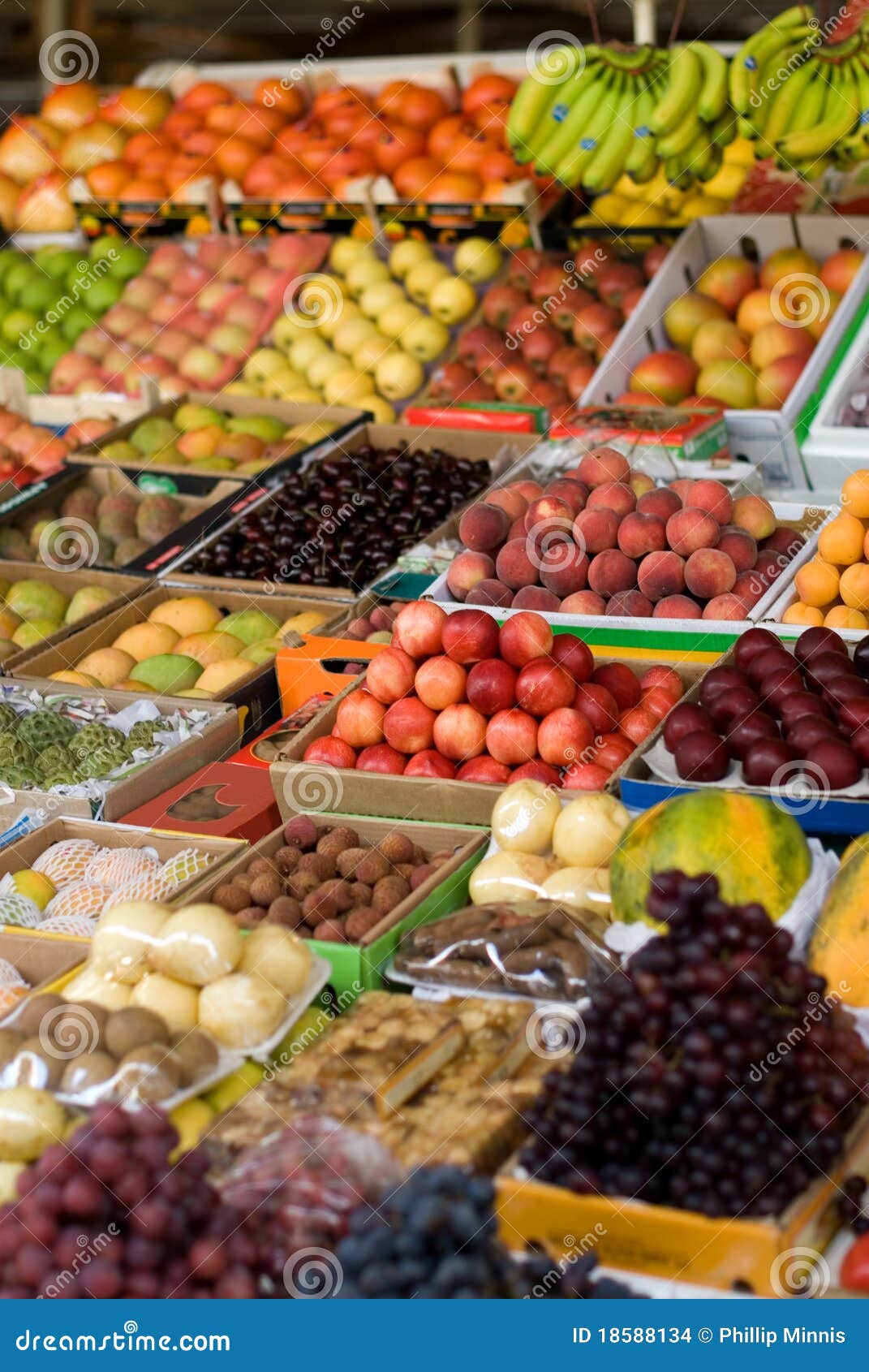Fresh Fruit stock photo. Image of ripe, mangoes, pear 18588134