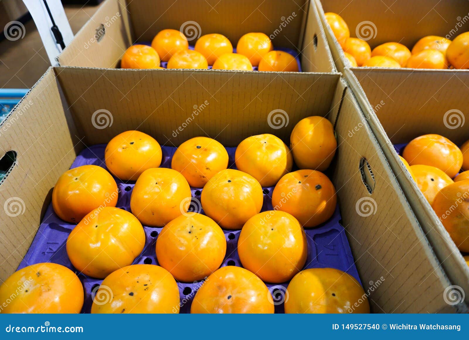The Fresh Fruit in the Box during Harvest Oranges Season Stock Photo