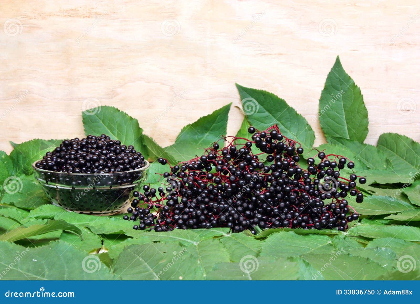 Fresh fruit elderberry stock photo. Image of leaves, medicine 33836750