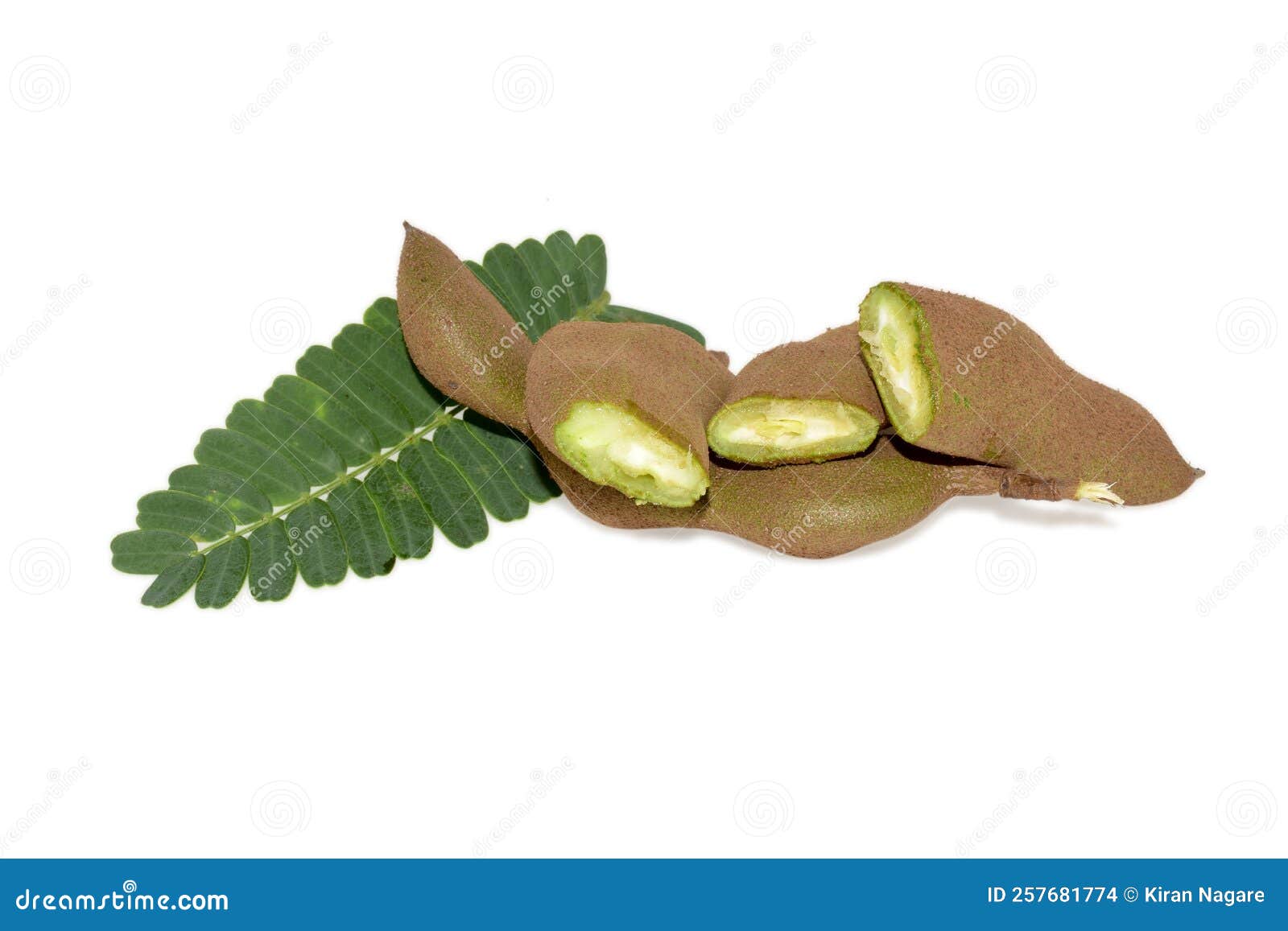 Fresh fruit raw tamarind stock photo. Image of fresh 257681774
