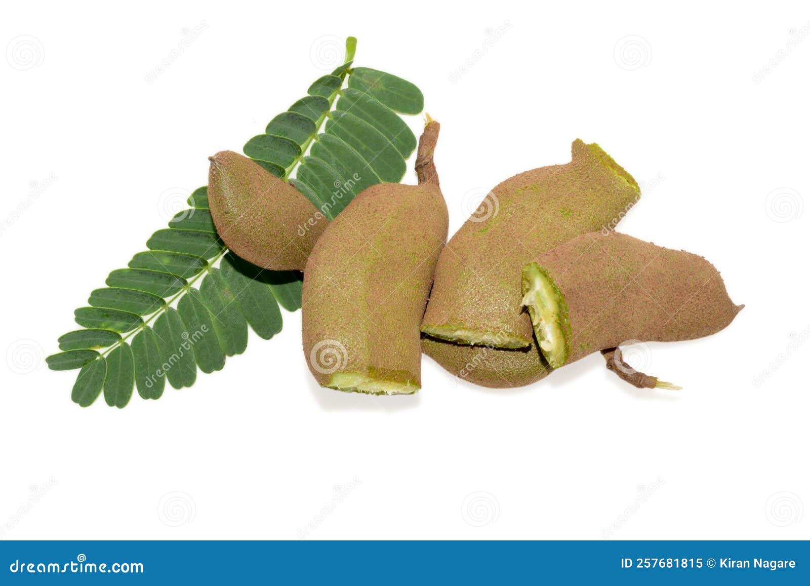 Fresh fruit raw tamarind stock image. Image of fresh 257681815