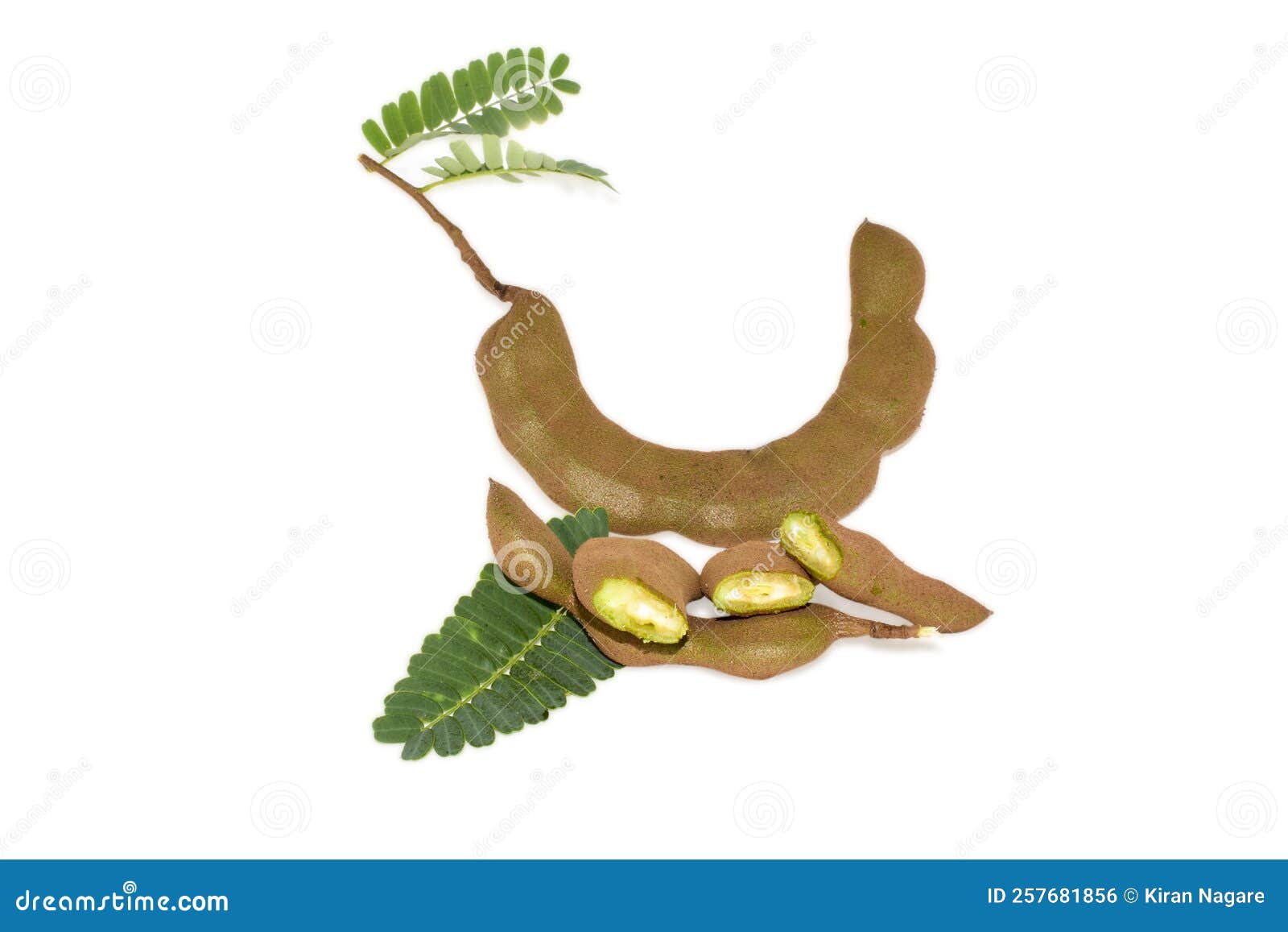 Fresh fruit raw tamarind stock photo. Image of fresh 257681856