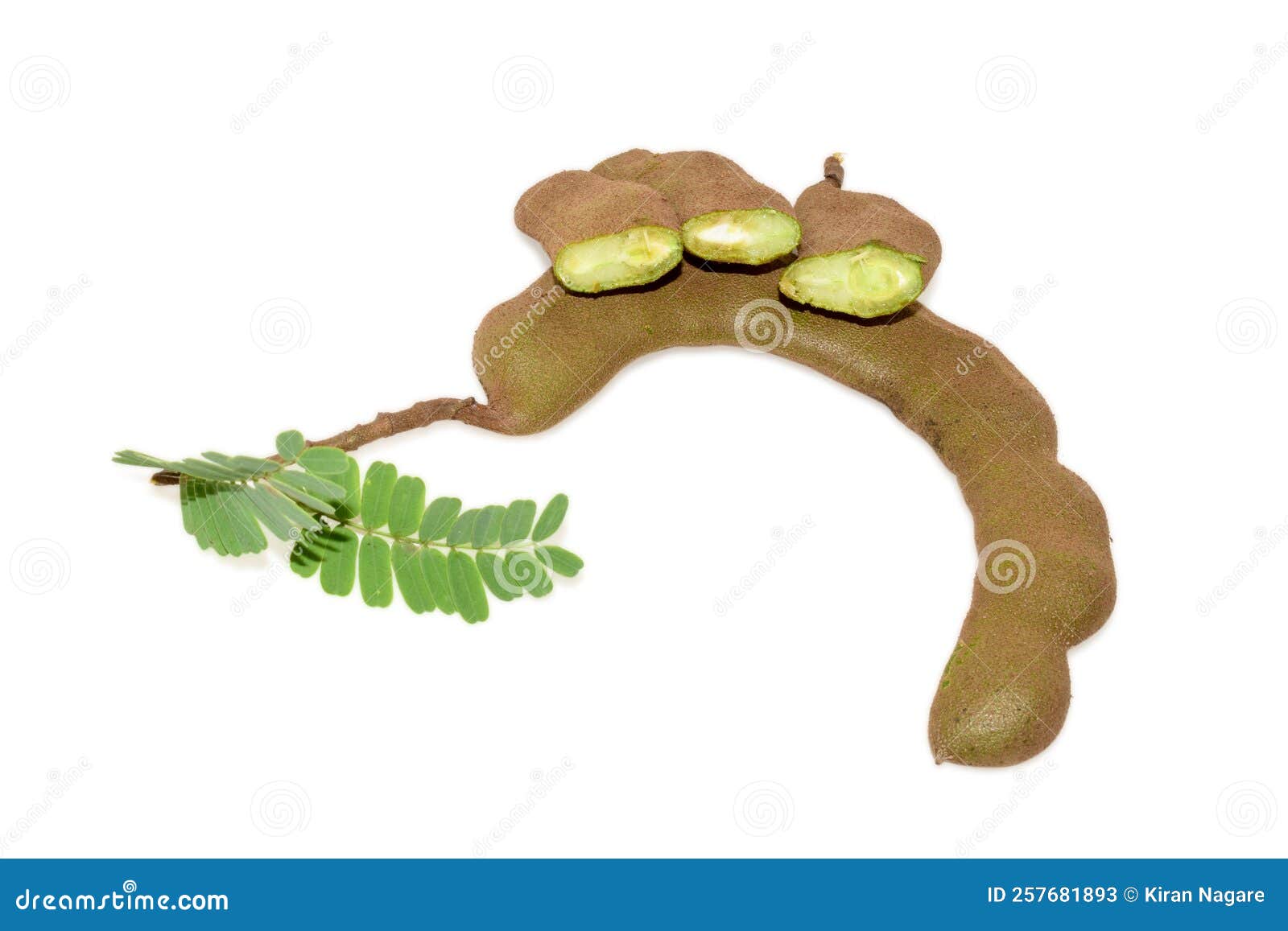 Fresh fruit raw tamarind stock image. Image of fresh 257681893
