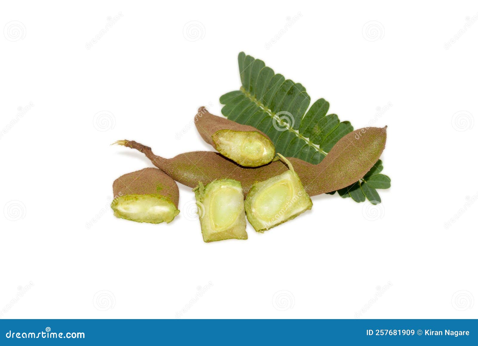 Fresh fruit raw tamarind stock image. Image of summer 257681909