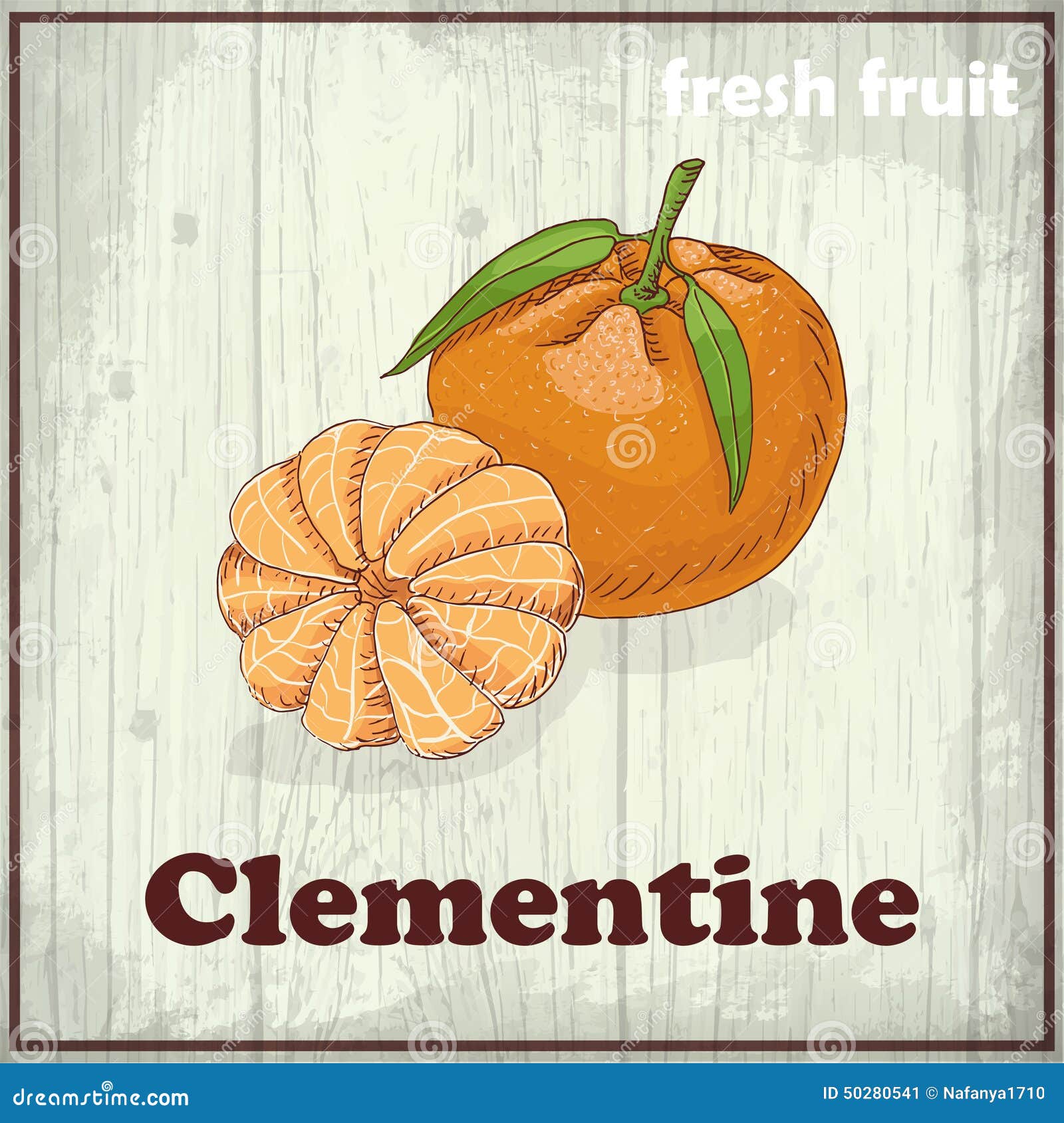 Fresh Fruit Sketch Background. Hand Drawing Illustration of Clementine