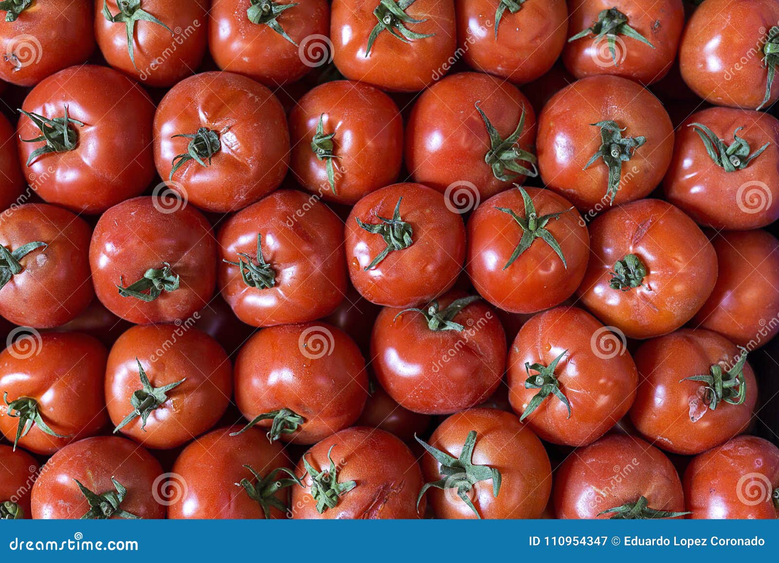 Fresh Fruits and Vegetables.tomatoes Stock Image Image of tropical