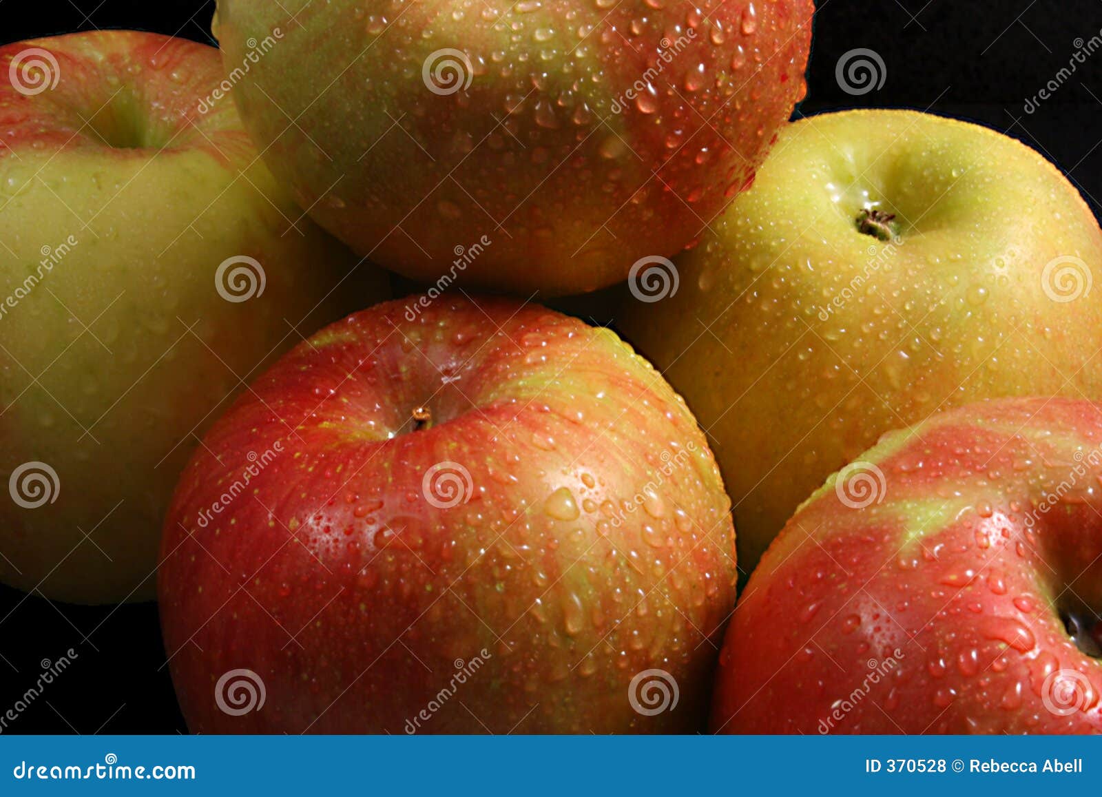 fresh fuji apples