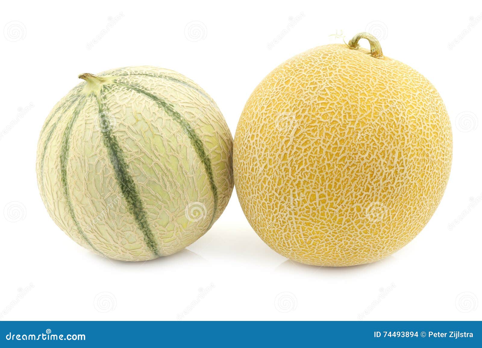 Fresh Galia Melon and a Cantaloupe Melon Stock Photo Image of