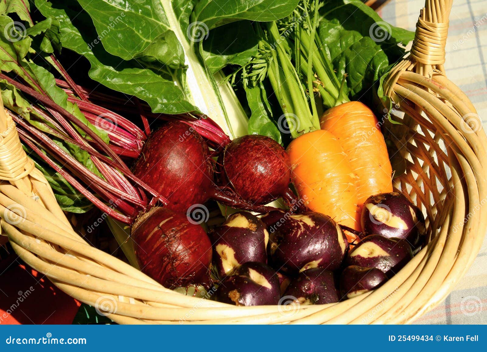 Fresh garden produce stock photo. Image of green, orange 25499434