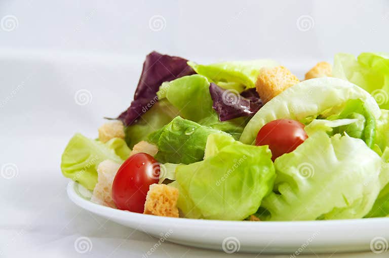 Fresh Garden Salad stock image. Image of toss, vegetarian 11637383