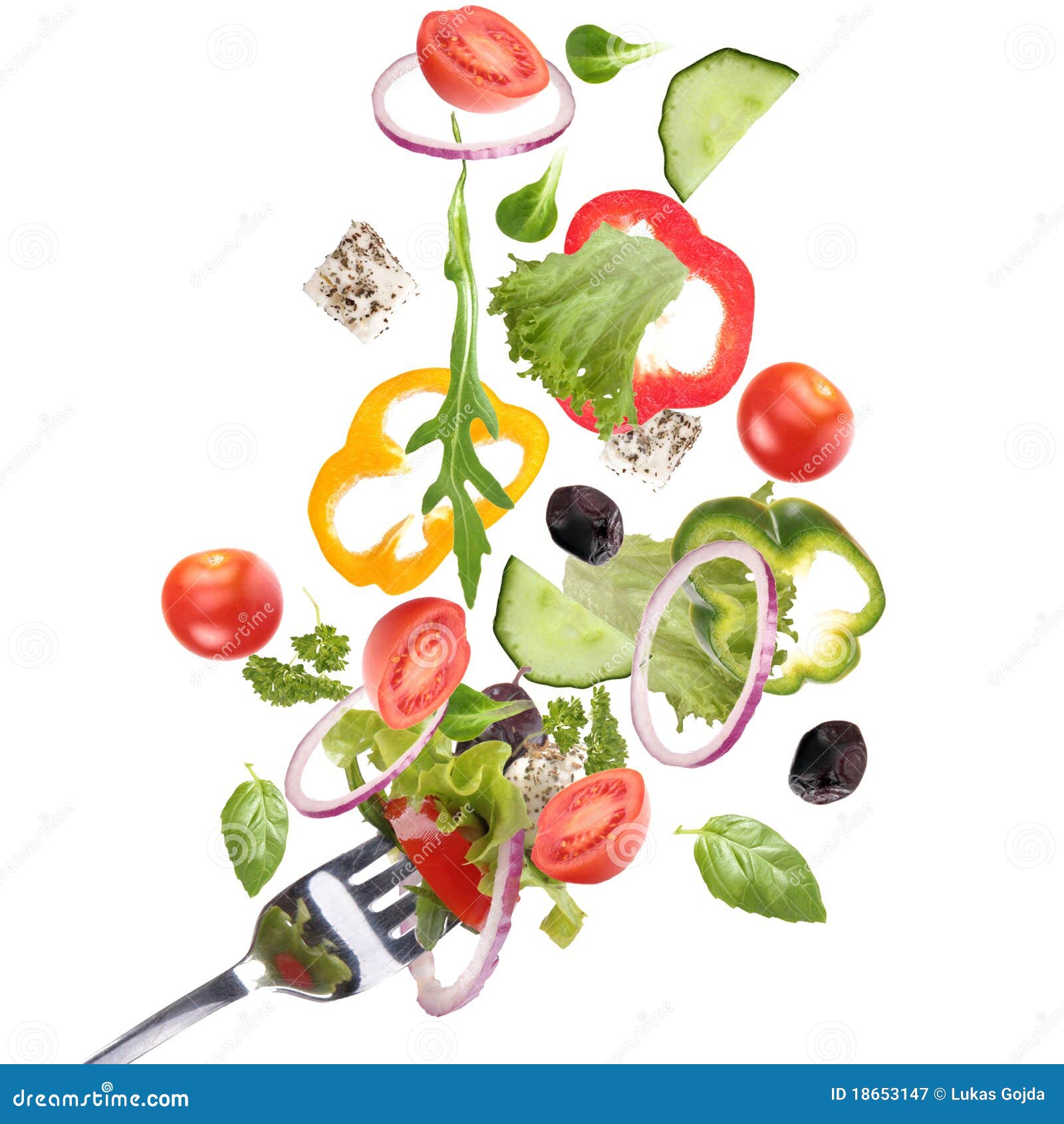 Fresh garden salad stock image. Image of curly, fall 18653147