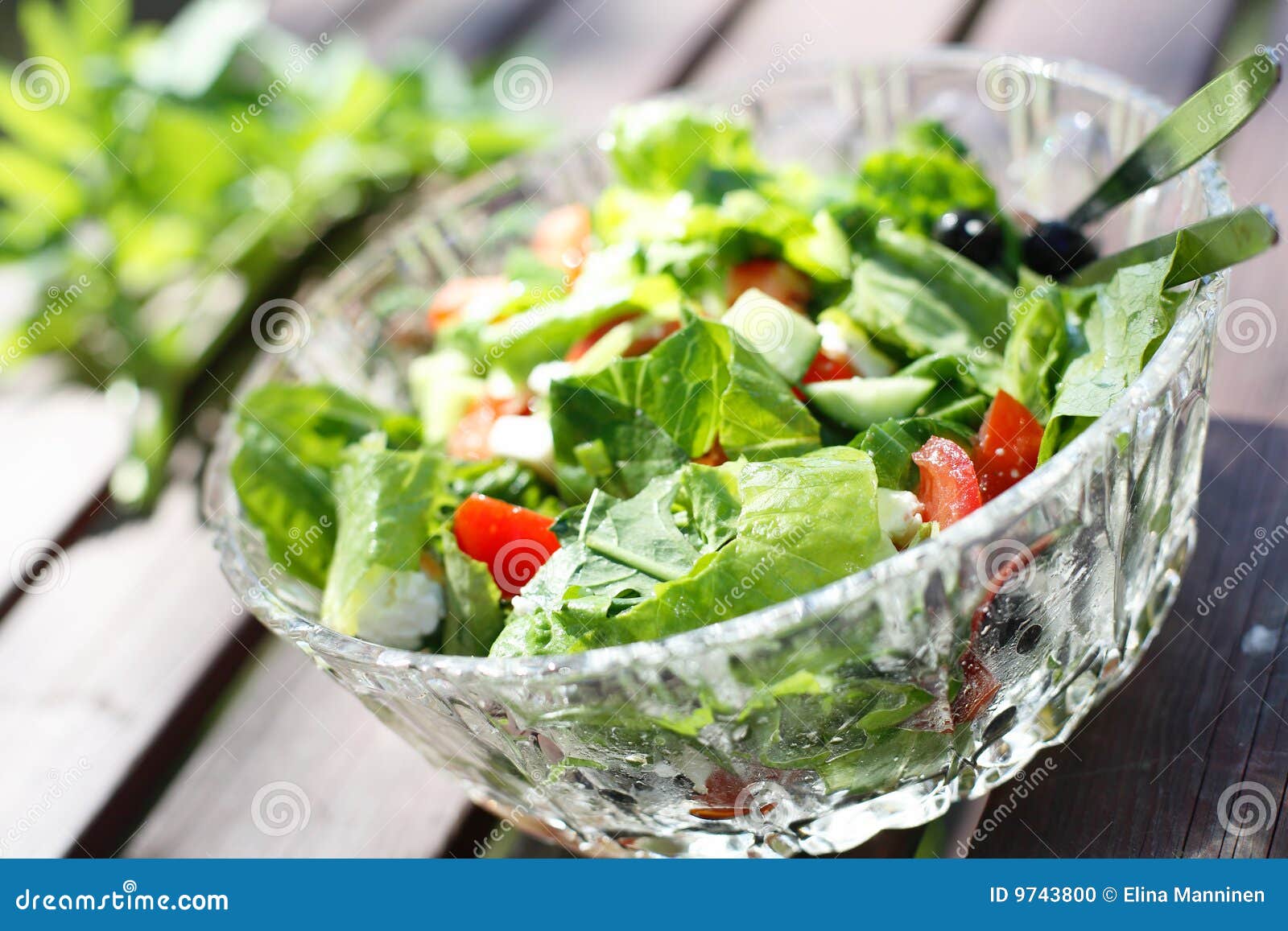 Fresh Garden Salad on a Table. Stock Photo Image of nutritious