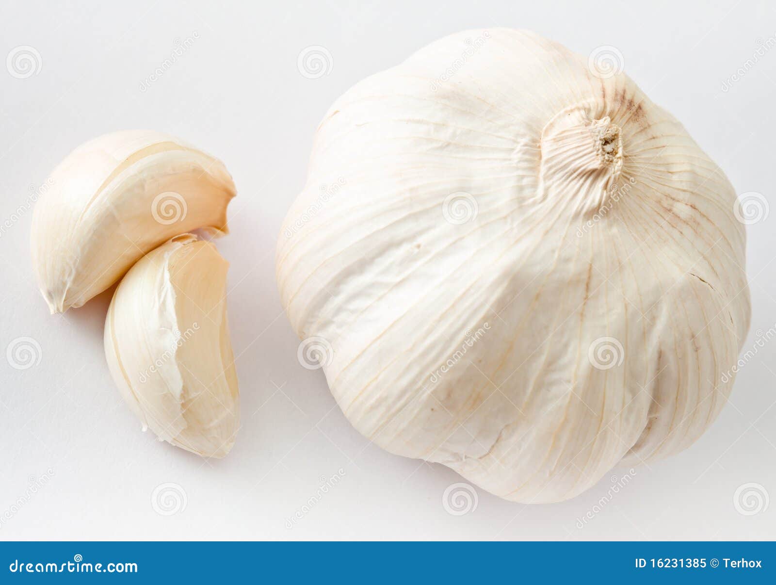 Fresh garlic stock image. Image of garlic, eating, fresh - 16231385
