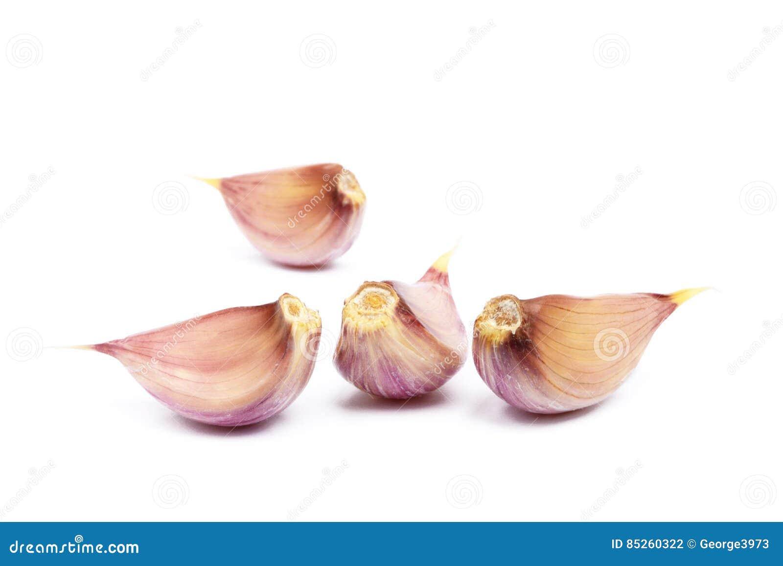 Fresh garlic cloves stock photo. Image of vegetable, isolated 85260322