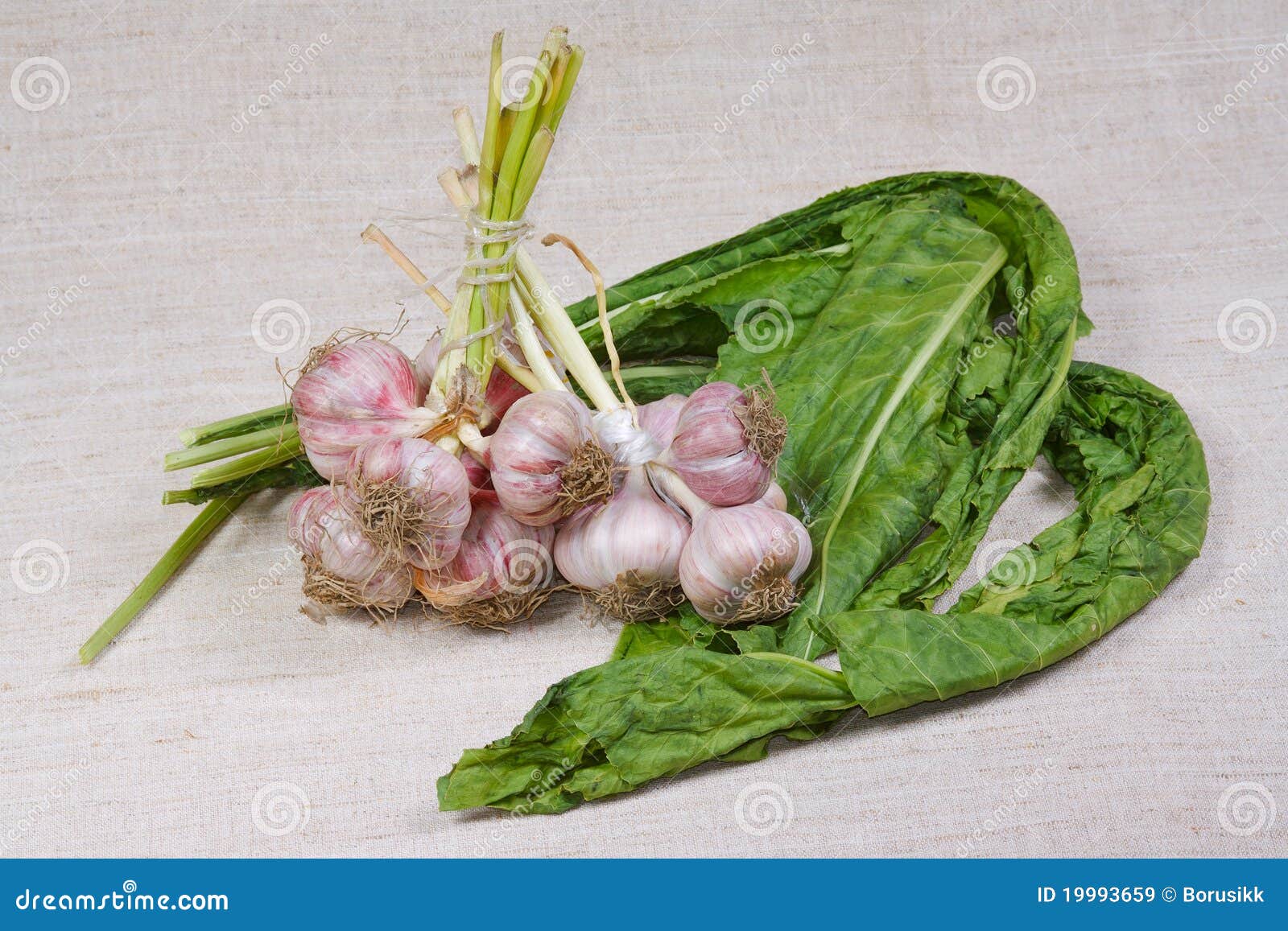 The Fresh Garlic and Greens Stock Image Image of meal, vegetables