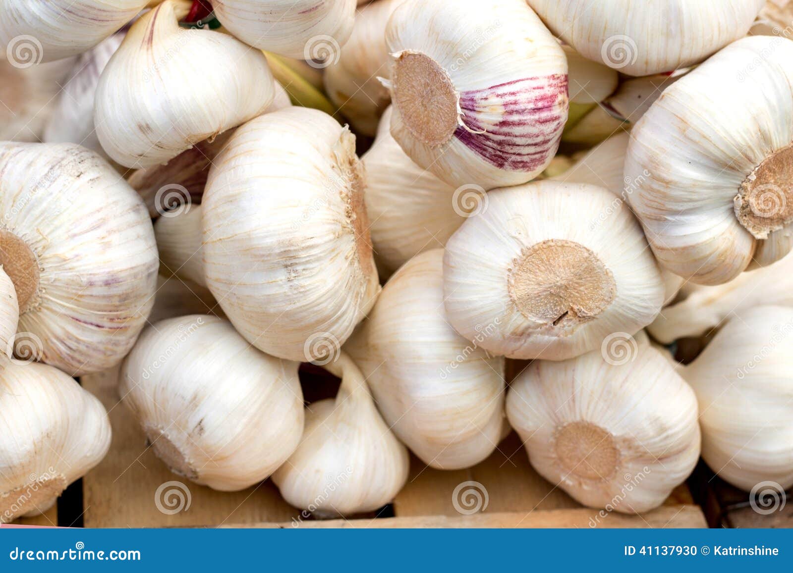 Fresh Garlic on a Local Market Stock Photo Image of bulb, background