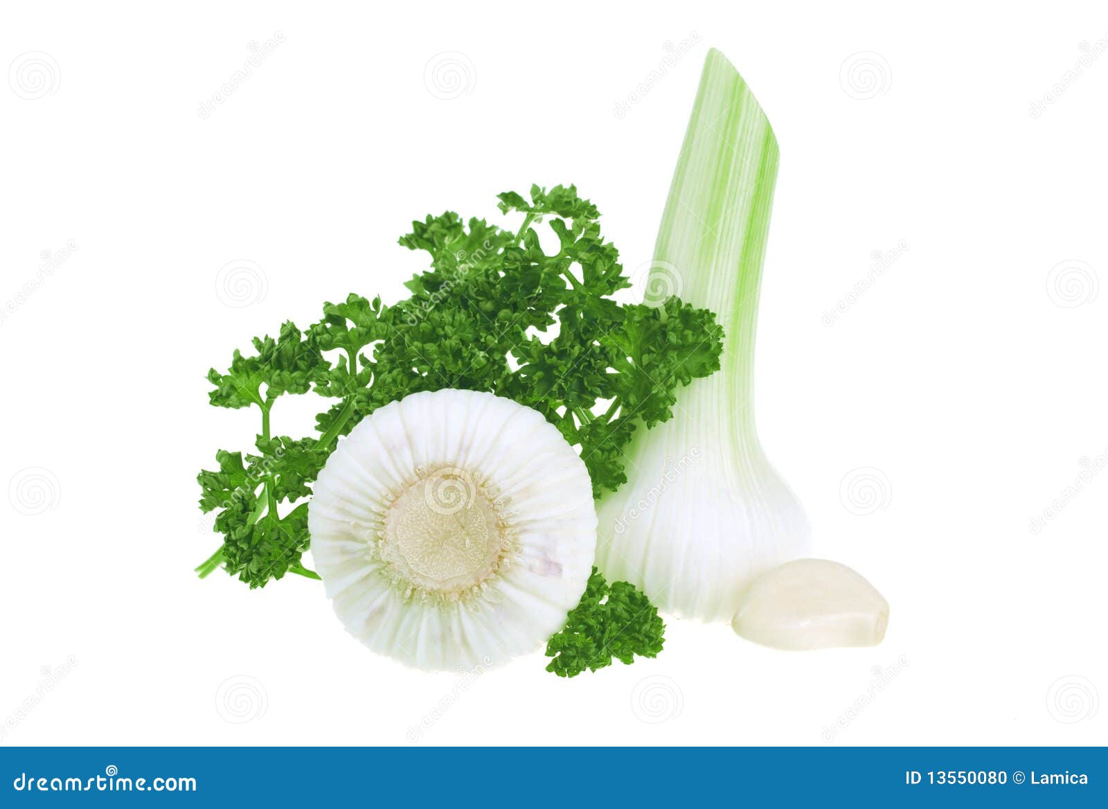 Fresh garlic and parsley stock photo. Image of garlic 13550080