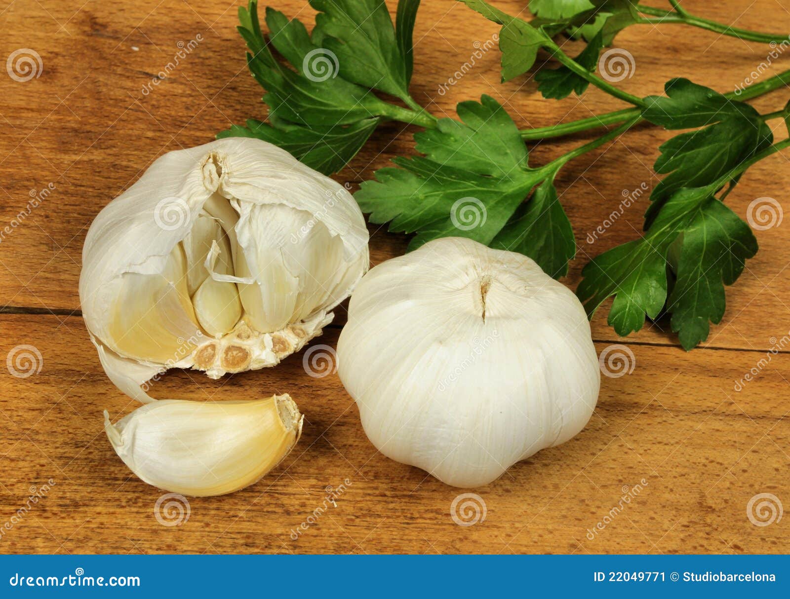 Fresh garlic and parsley stock image. Image of garlic 22049771