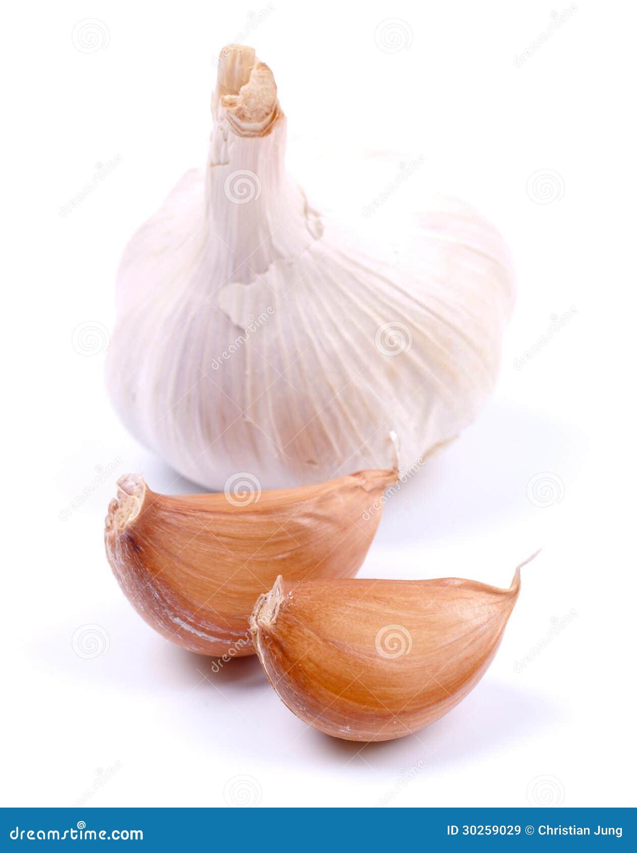 Fresh garlic on white ground