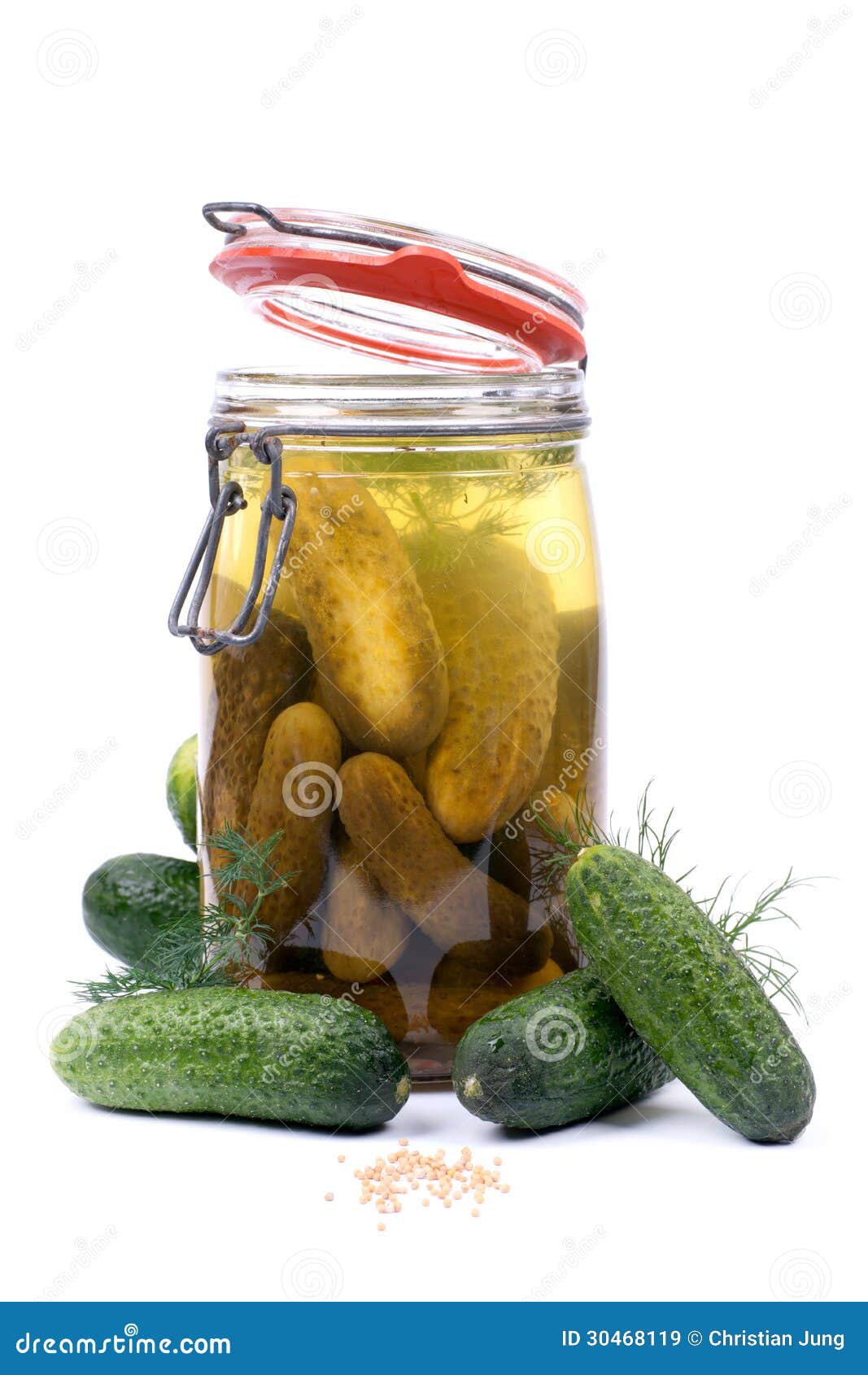 Fresh gherkin stock image. Image of preparation, dill 30468119