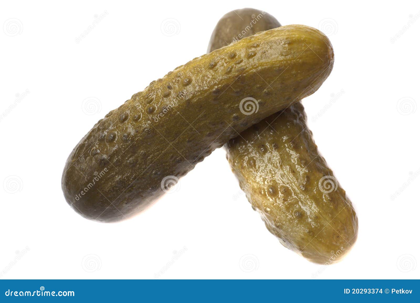Fresh Gherkins on White Background Stock Photo Image of healthy