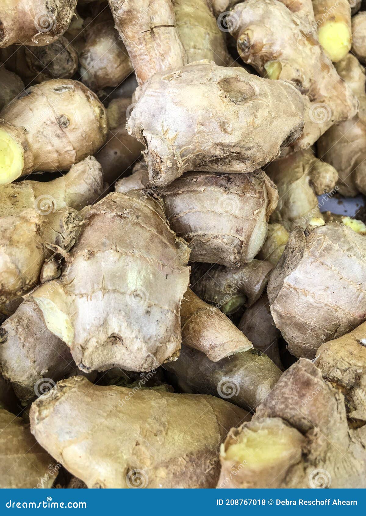 Fresh Ginger Root at the Market Stock Photo Image of soil, aroma