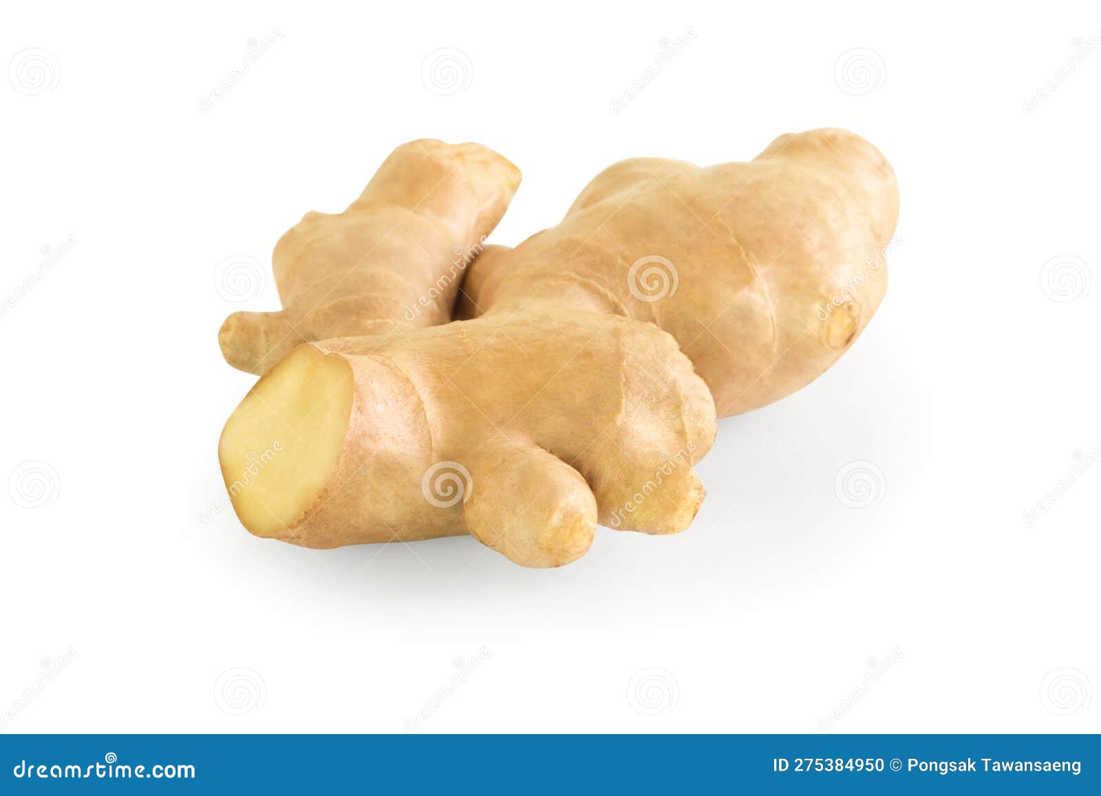 Fresh Ginger Root on White Background for Herb and Medical Product