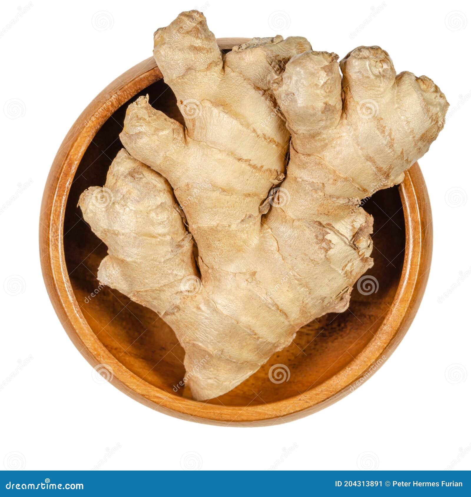 fresh ginger root, rhizome of zingiber officinale in wooden bowl