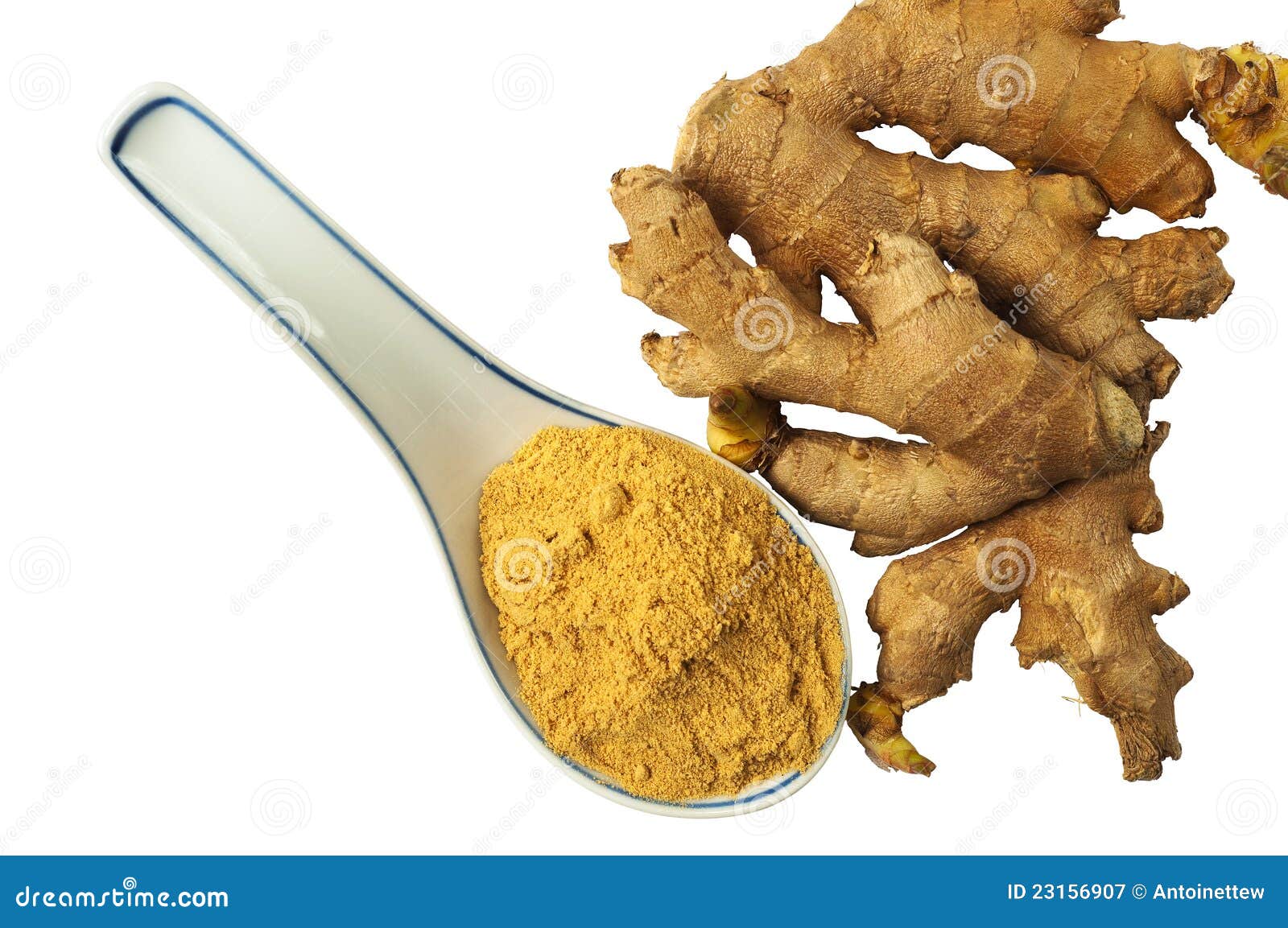 Fresh Ginger Roots And A Spoon With Ginger Powder Stock Image Image