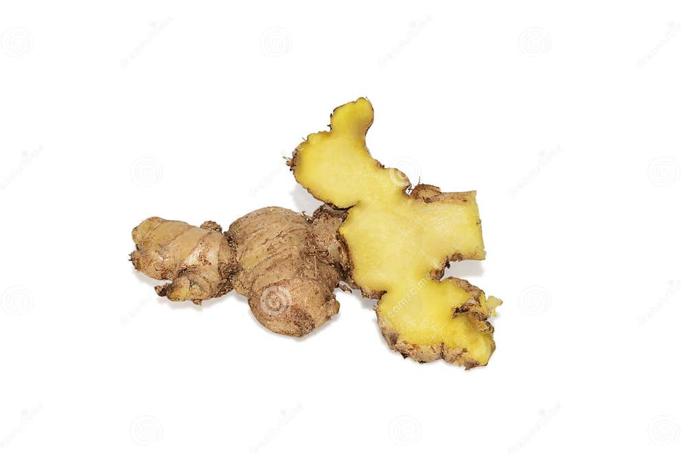 Fresh Ginger Zingiber Officinale Isolated on White Background Stock