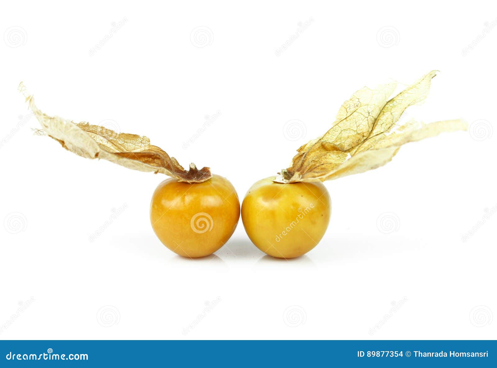 Fresh Golden Cape Gooseberry Stock Photo Image of ingredient, cooking