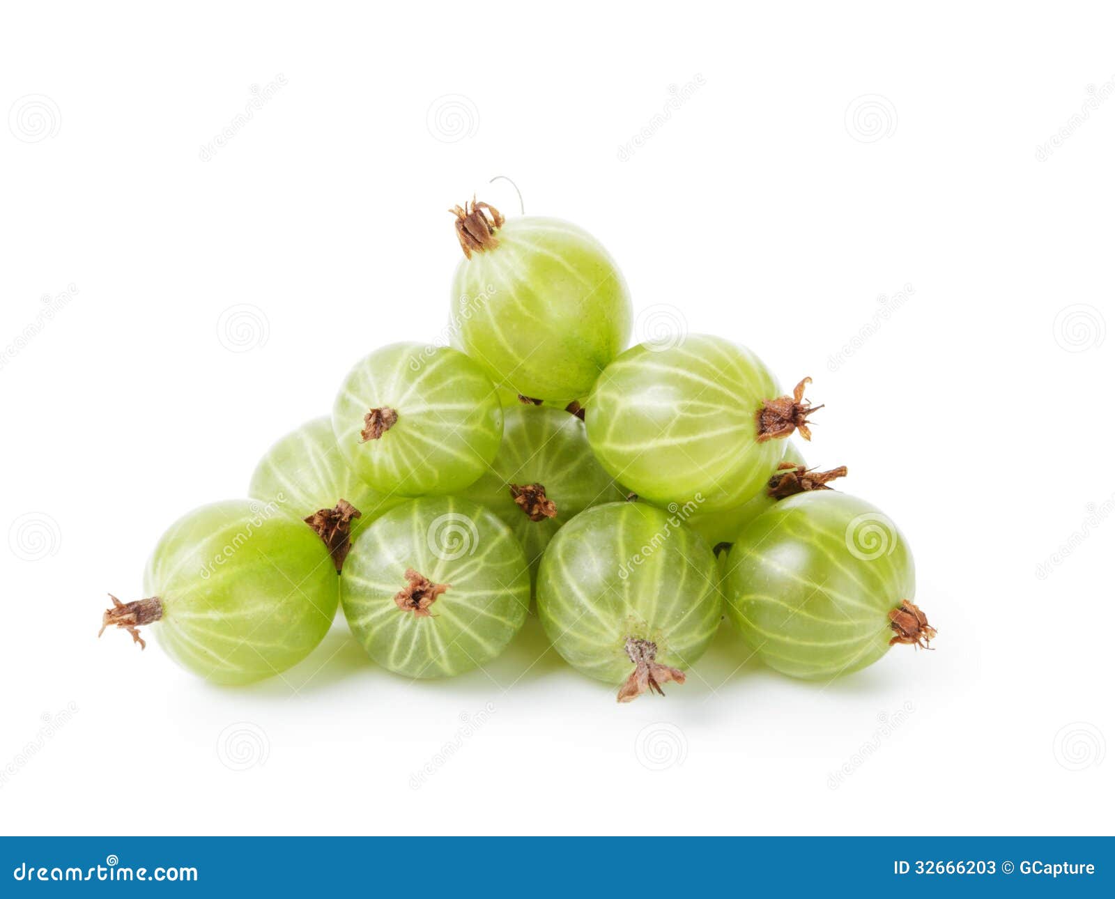 Fresh Gooseberries from Garden Stock Image Image of heap, dessert