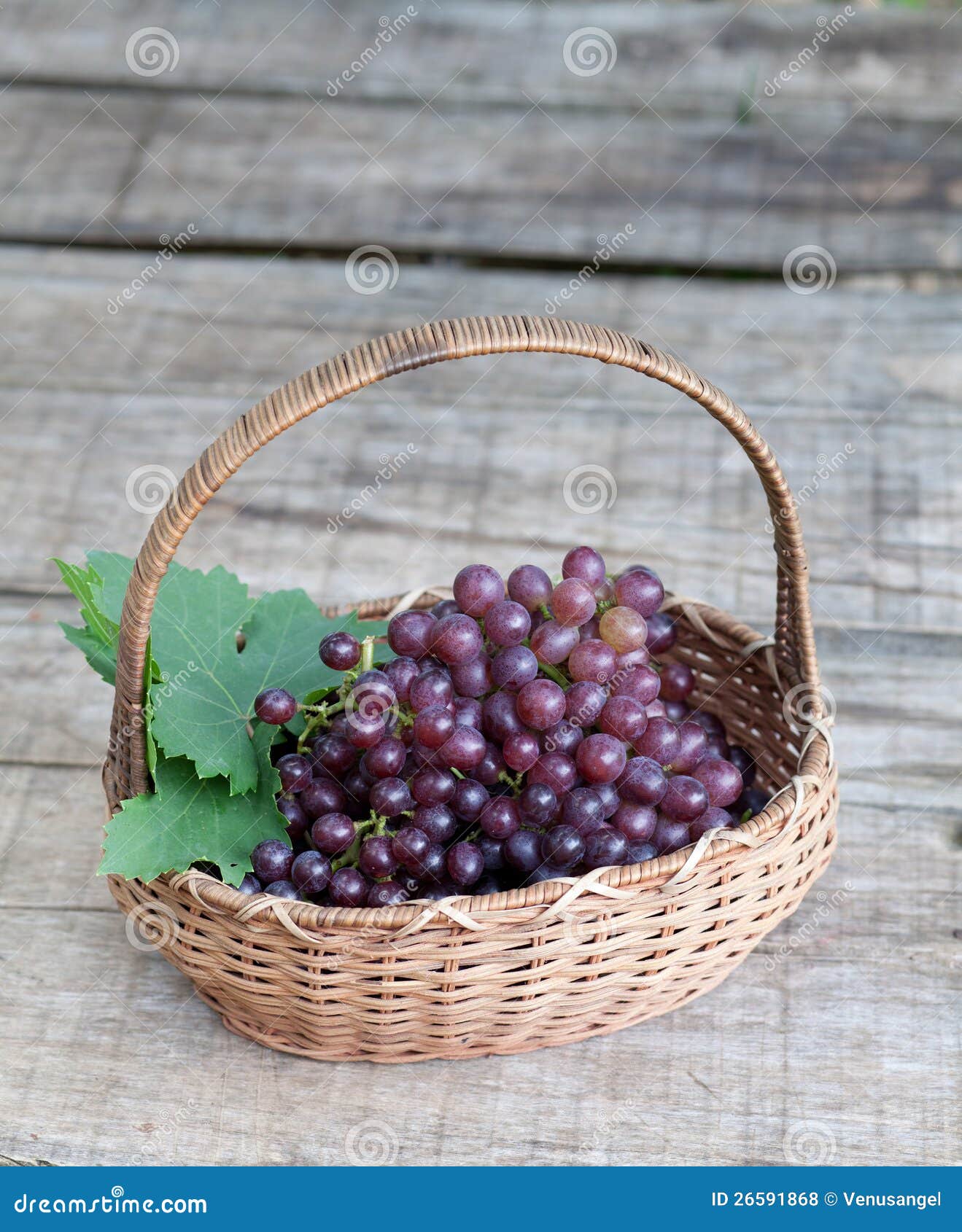 Fresh Grape Fruits in Basket Stock Photo Image of ingredient, food 26591868