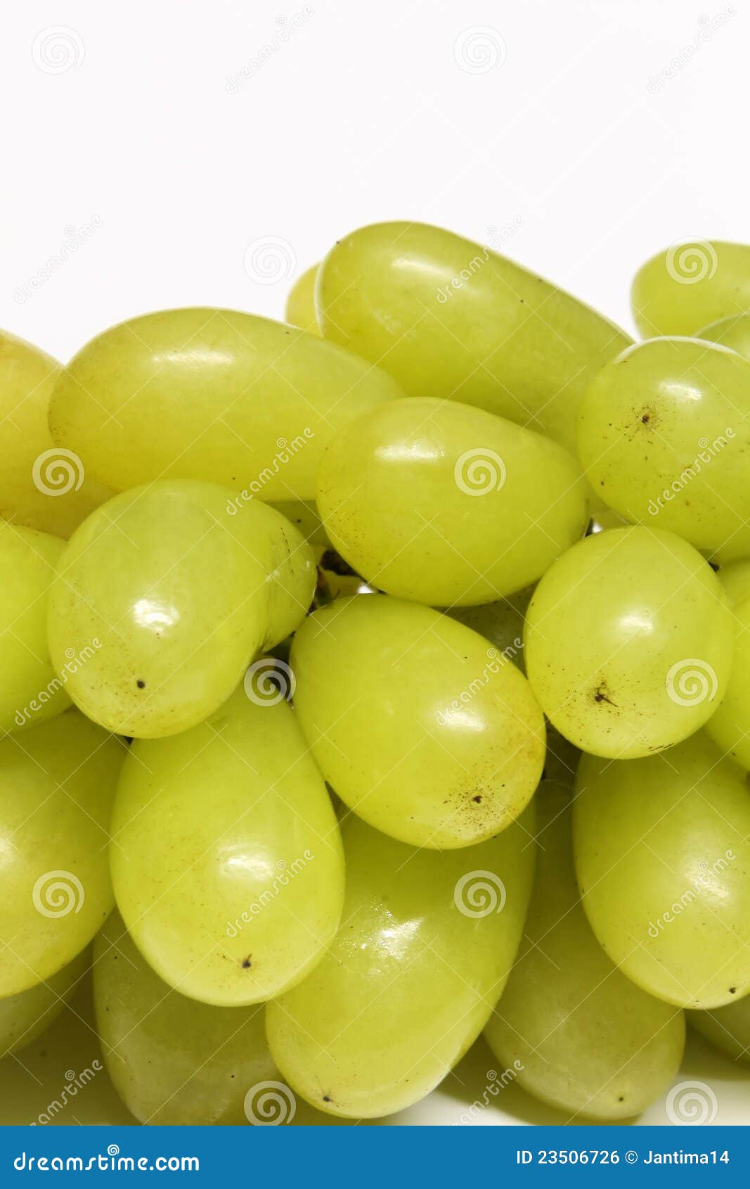 Fresh grapes stock photo. Image of sweet, full, gardening 23506726