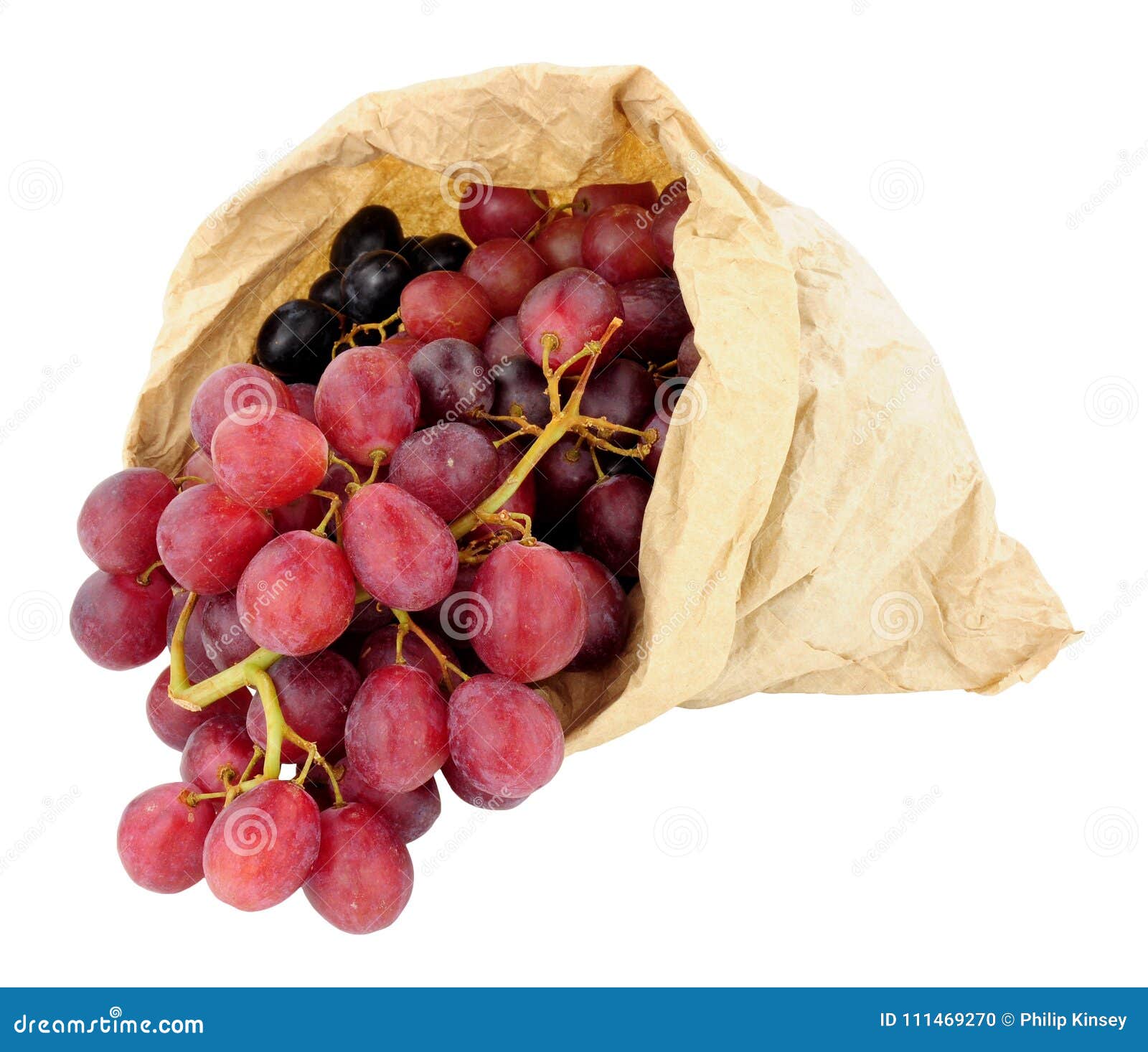 Strawberry Grapes Fruit Protection Bags Pest Control Anti-Bird Garden  Netting Bags Mesh Grape Bag Planter Grow Bags - China Grapes Protection Bags  and Fruit Protection Bags price | Made-in-China.com