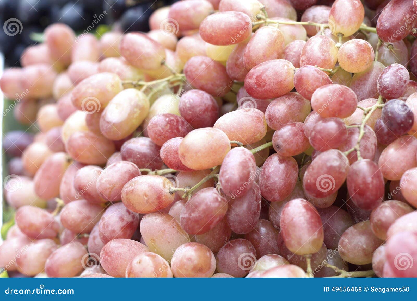Fresh grapes stock photo. Image of juicy, natural, vegetarian 49656468