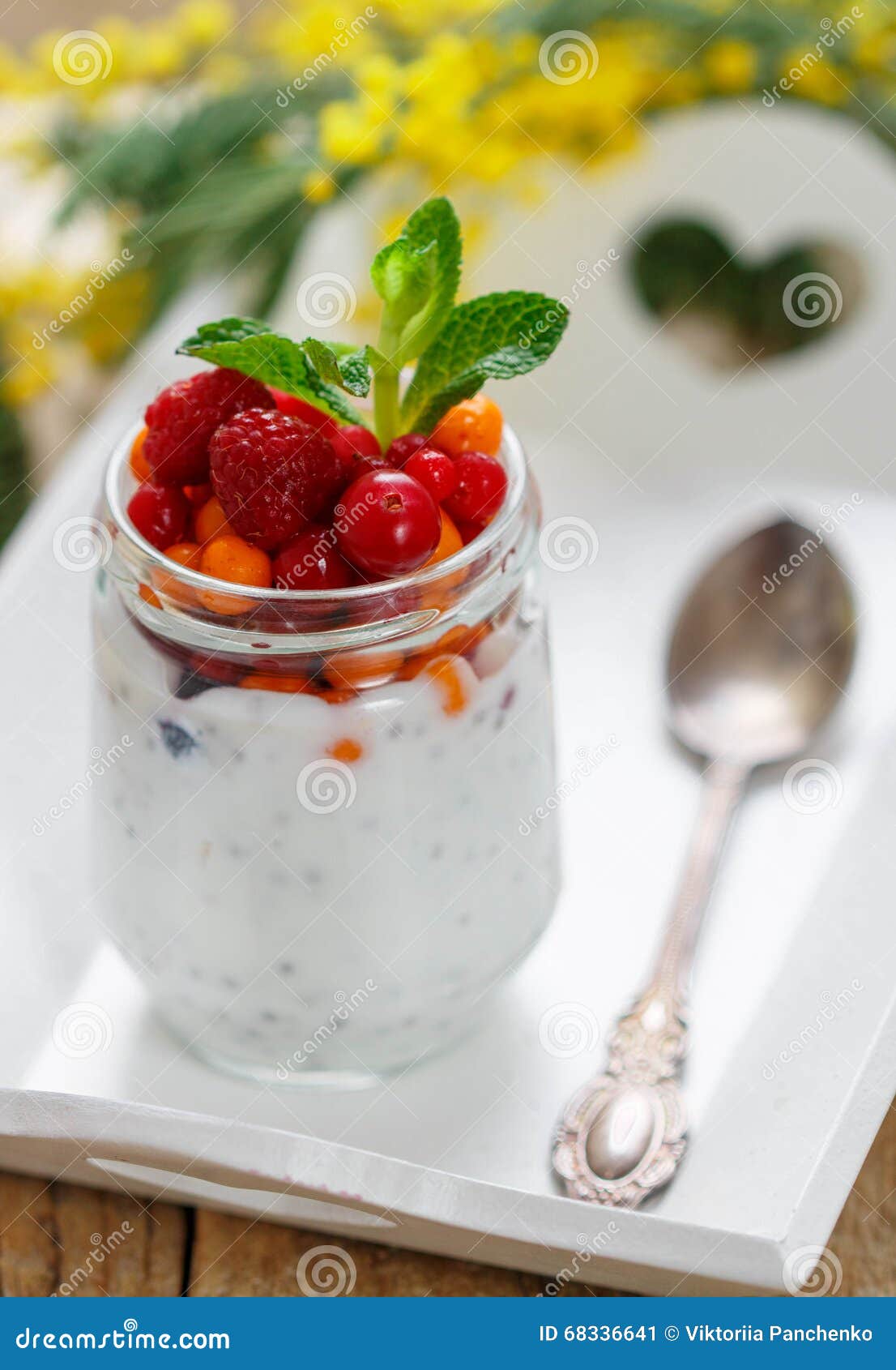 Fresh Greek Yogurt with Chia Seeds and Fresh Berries Stock Image