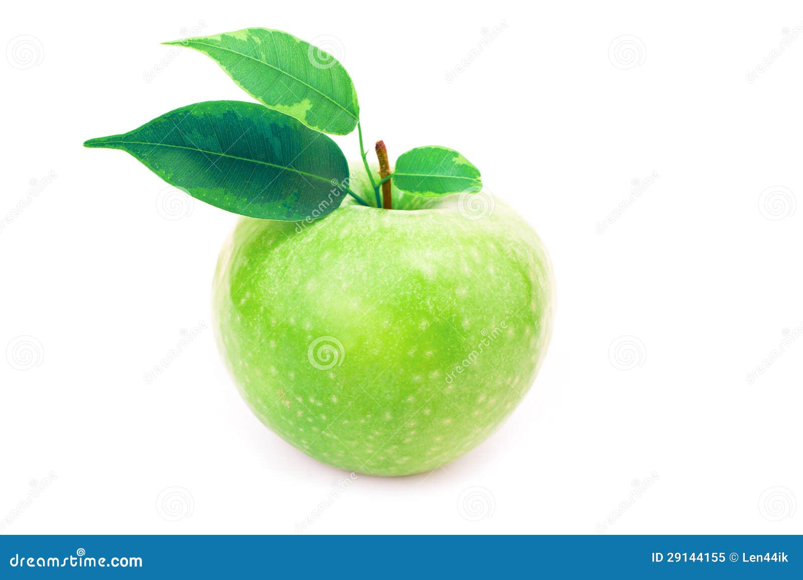 Fresh Green Apple with Leaves Stock Image Image of gourmet, fresh