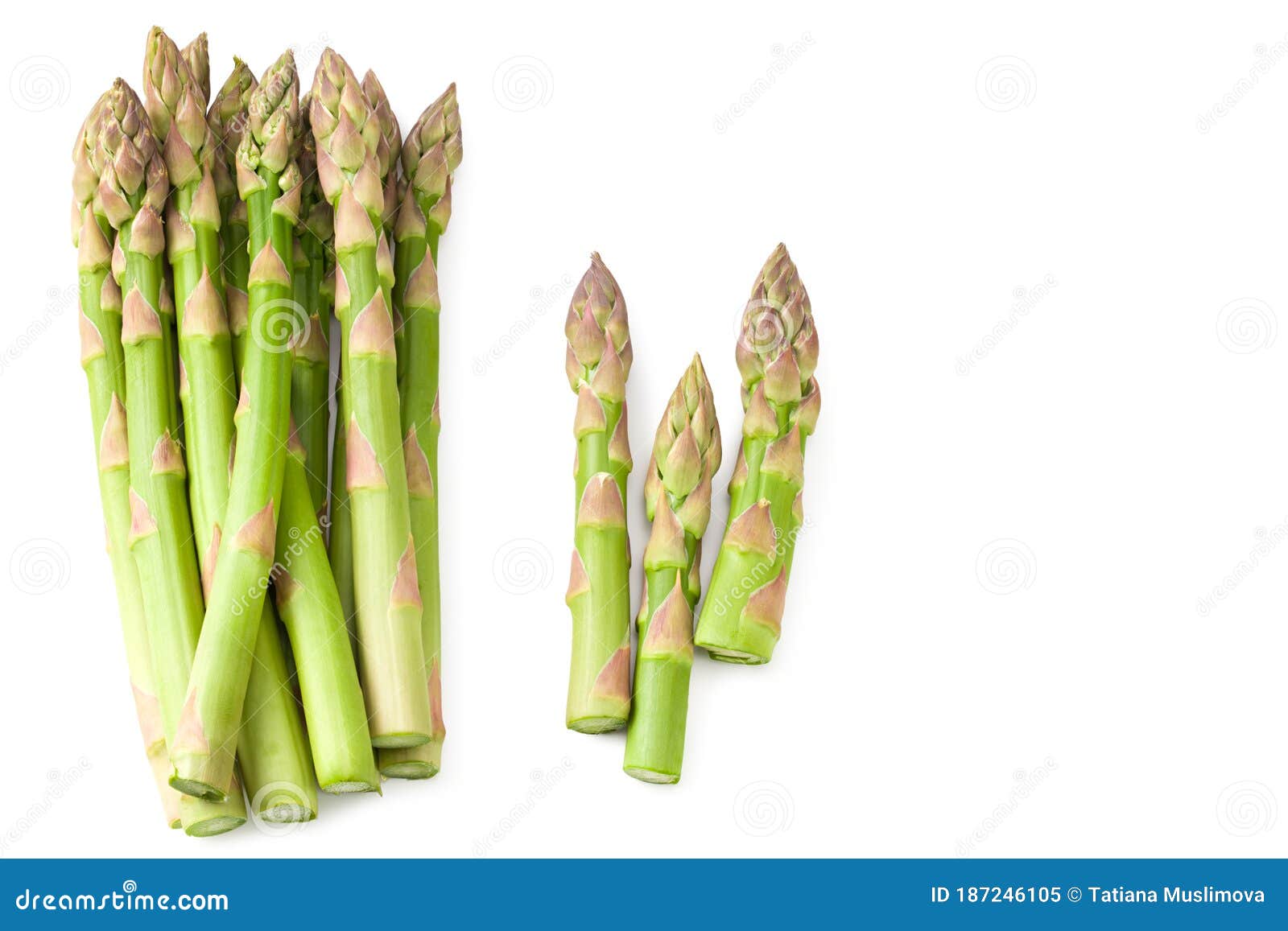 Fresh Green Asparagus Isolated on White Background Stock Image Image