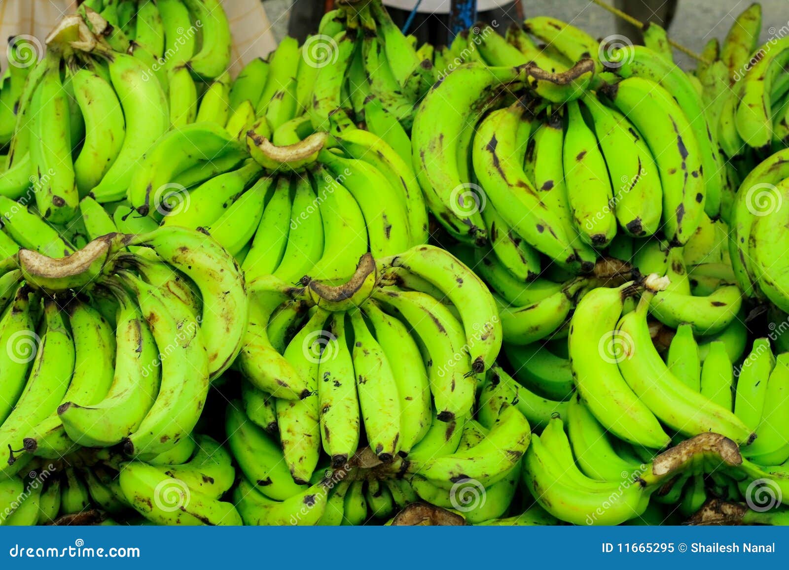 Fresh Green Bananas for Sale Stock Image Image of nice, unique 11665295