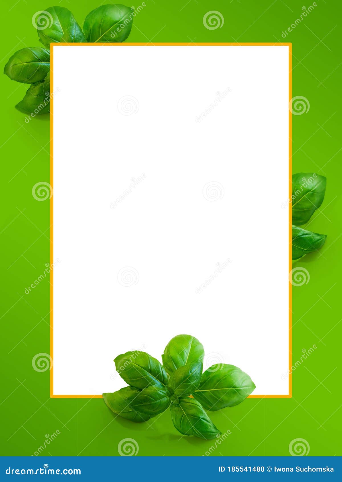Fresh Green Basil Background Frame Menu. Stock Photo - Image of plant,  card: 185541480